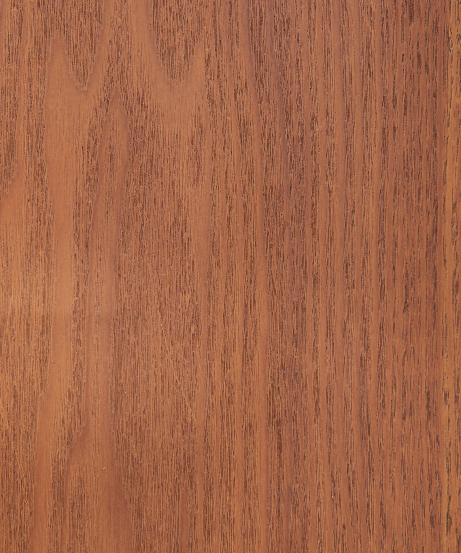 55503045755266 Mesa de Centro Rectangular en Madera Jade (110 cm) Mesas de Madera Northdeco