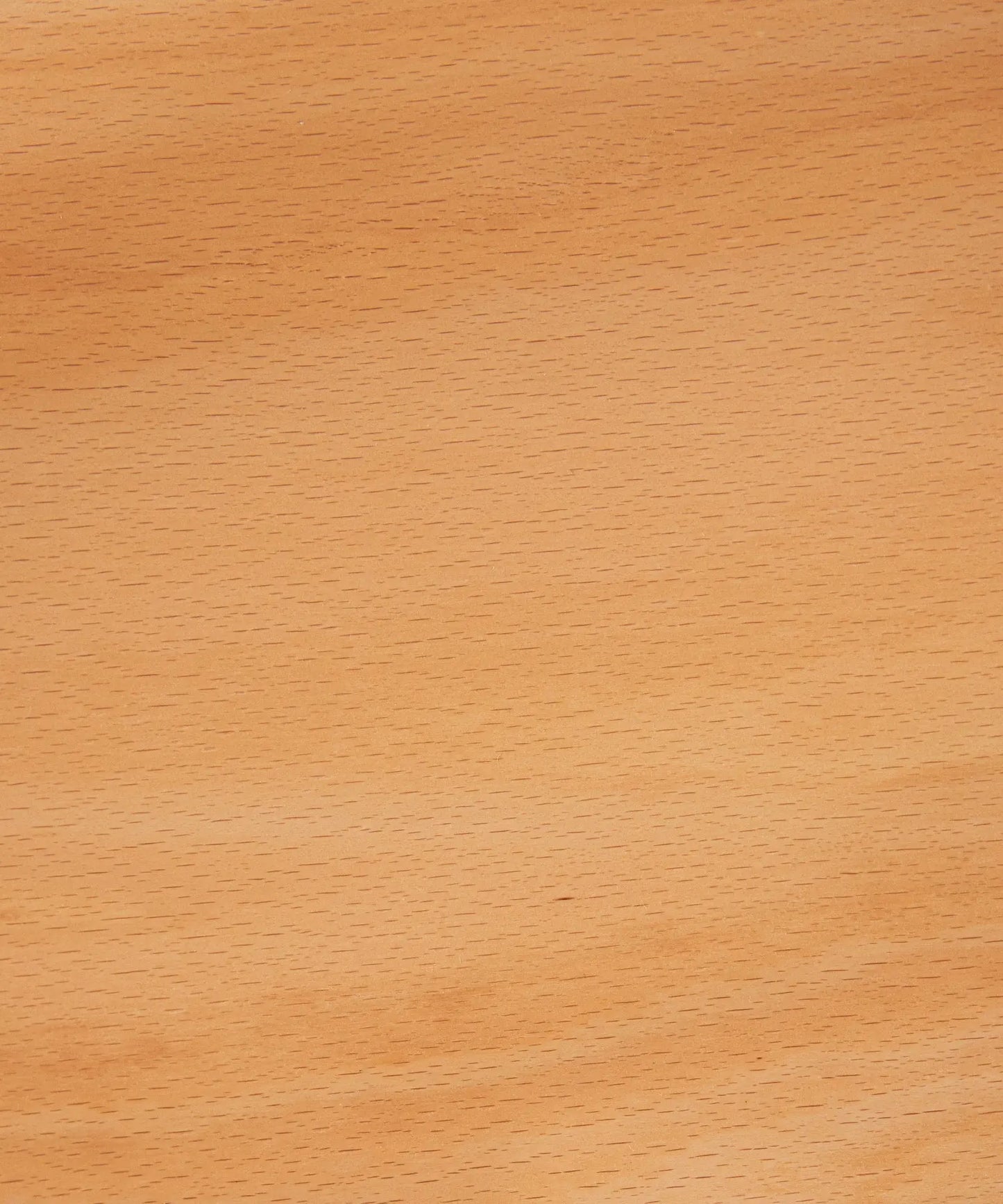 55214944027010 Silla de Comedor en Madera Alara  Northdeco