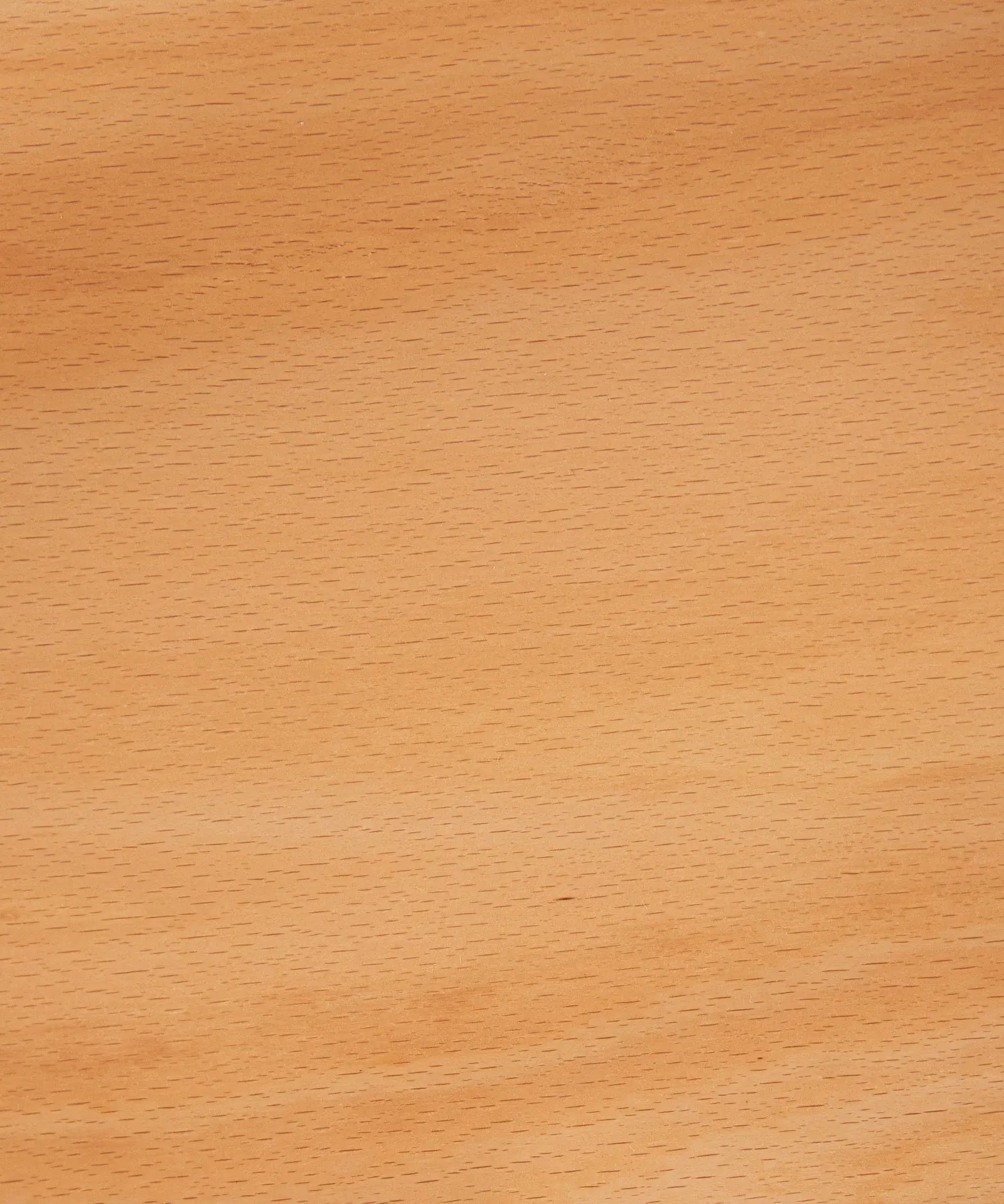 55214944027010 Silla de Comedor en Madera Alara  Northdeco