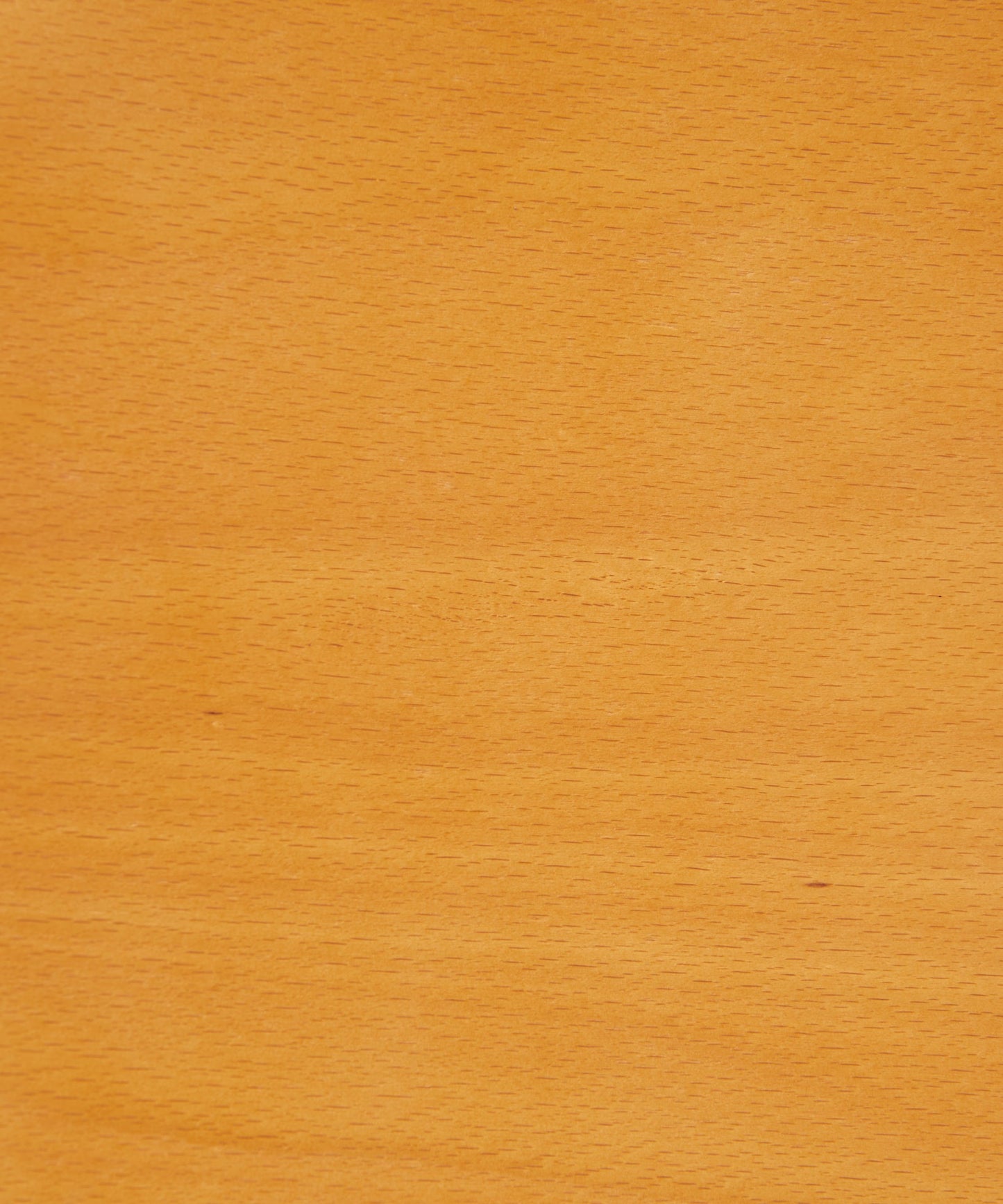 55214944059778 Silla de Comedor en Madera Alara  Northdeco