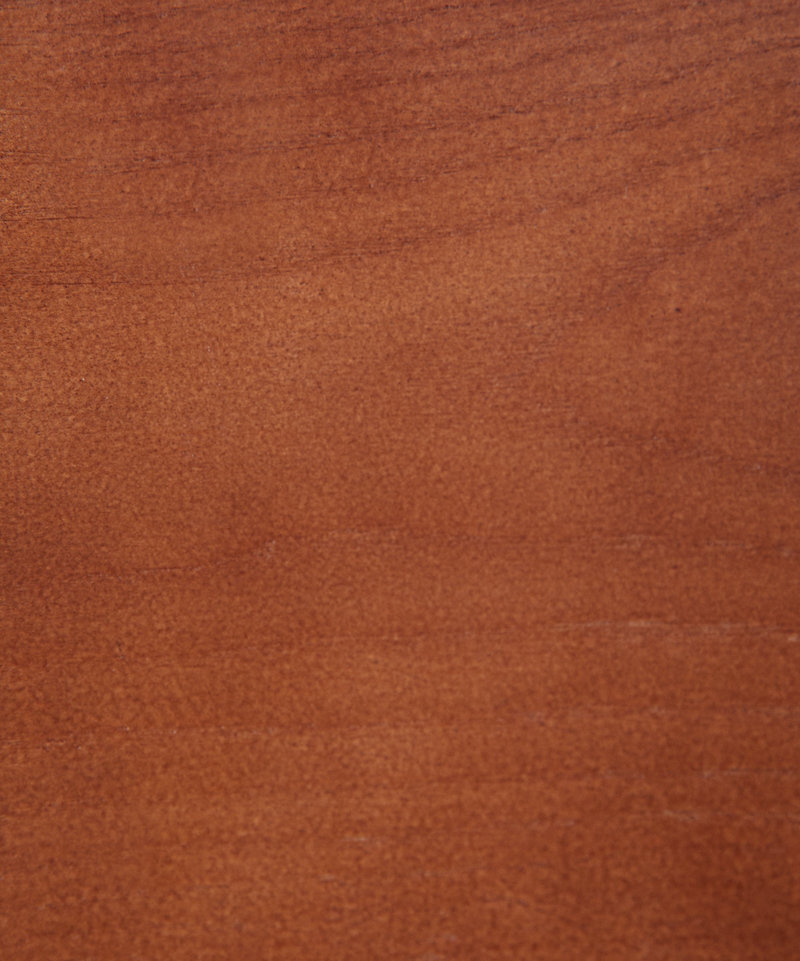 55651798876546 Silla de Comedor en Madera Tapizada Bianca Sillas Nórdicas Northdeco